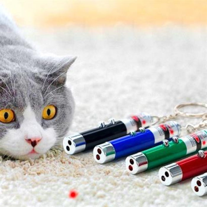 ShopZum  3 Fonksiyonlu Kırmızı Beyaz Işıklı Led Lazer Kedi Köpek Oyuncak Anahtarlık