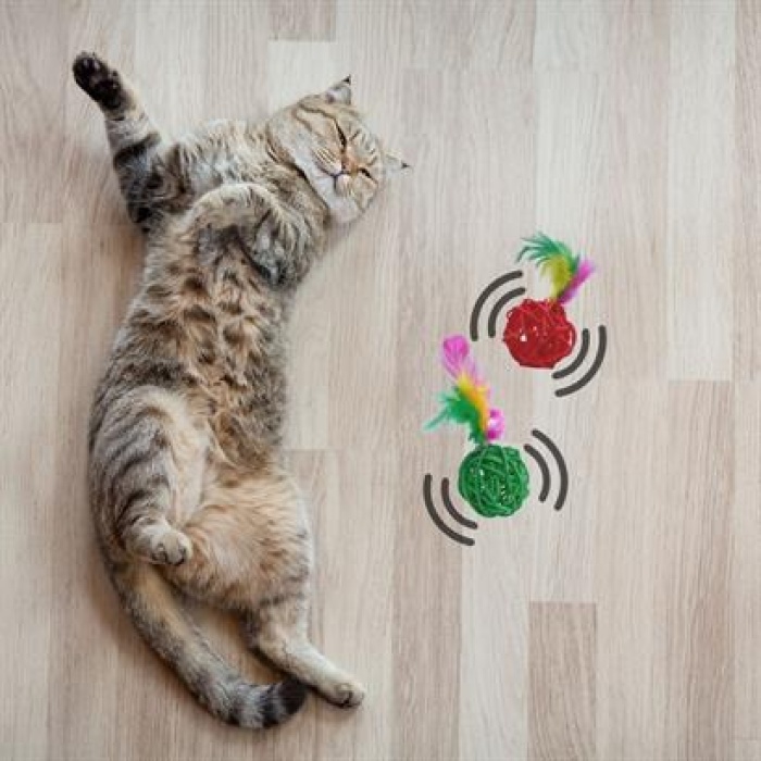ShopZum 2li Rattan Renkli Peluş Tüy Kedi Köpek Oyuncak Yakalama Çiğneme Çıngıraklı Top Oyuncağı