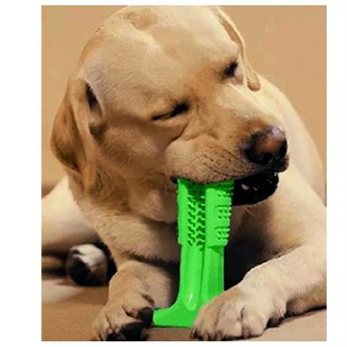 ShopZum Köpek Diş Temizleyici ve Kaşıyıcı Sağlıklı Küçük Boy Oyuncak