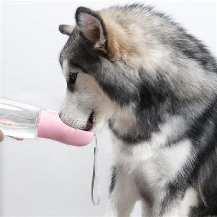 ShopZum Taşınabilir Evcil Hayvan Suluğu Seyahat Kabı Kilitlenebilen Su Sızdırmaz Kap 350 ml