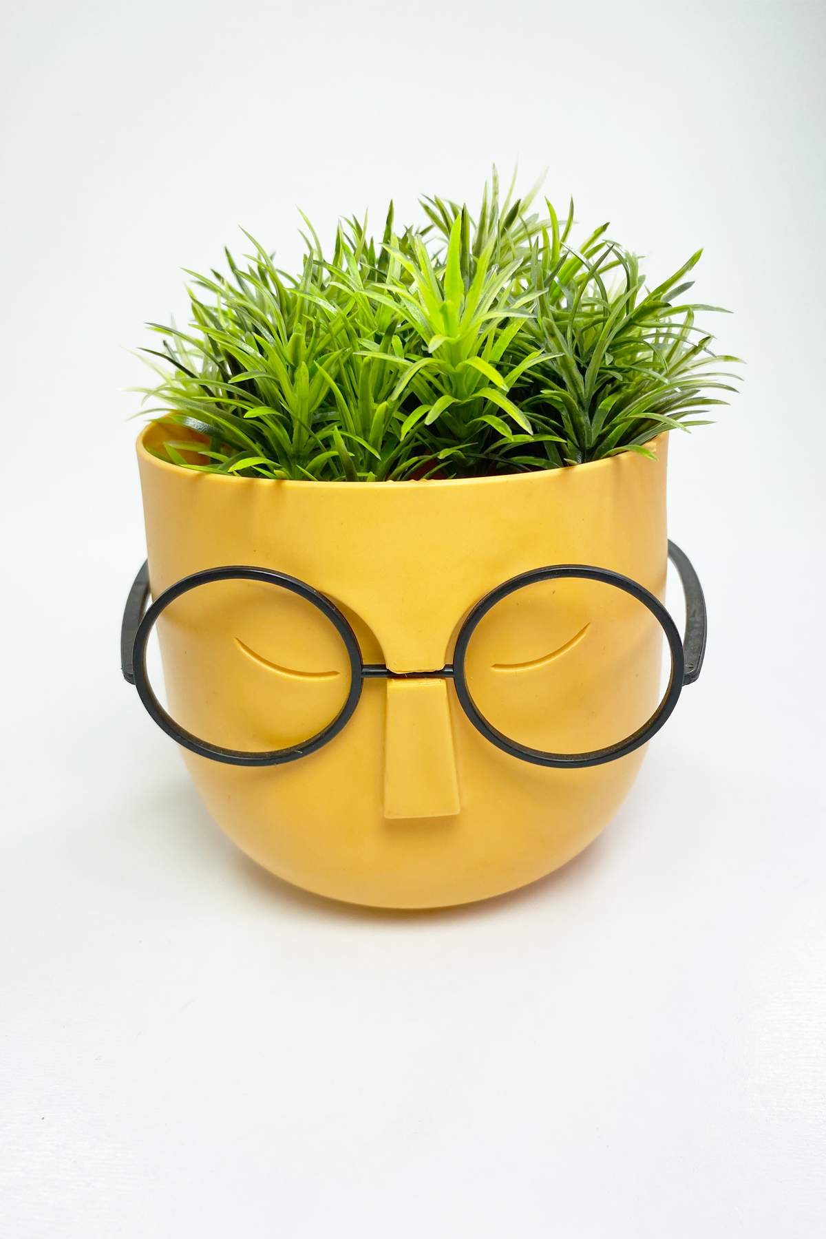 Profesör Çim Adam Dekoratif Yapay Çiçek 10x10 cm R4