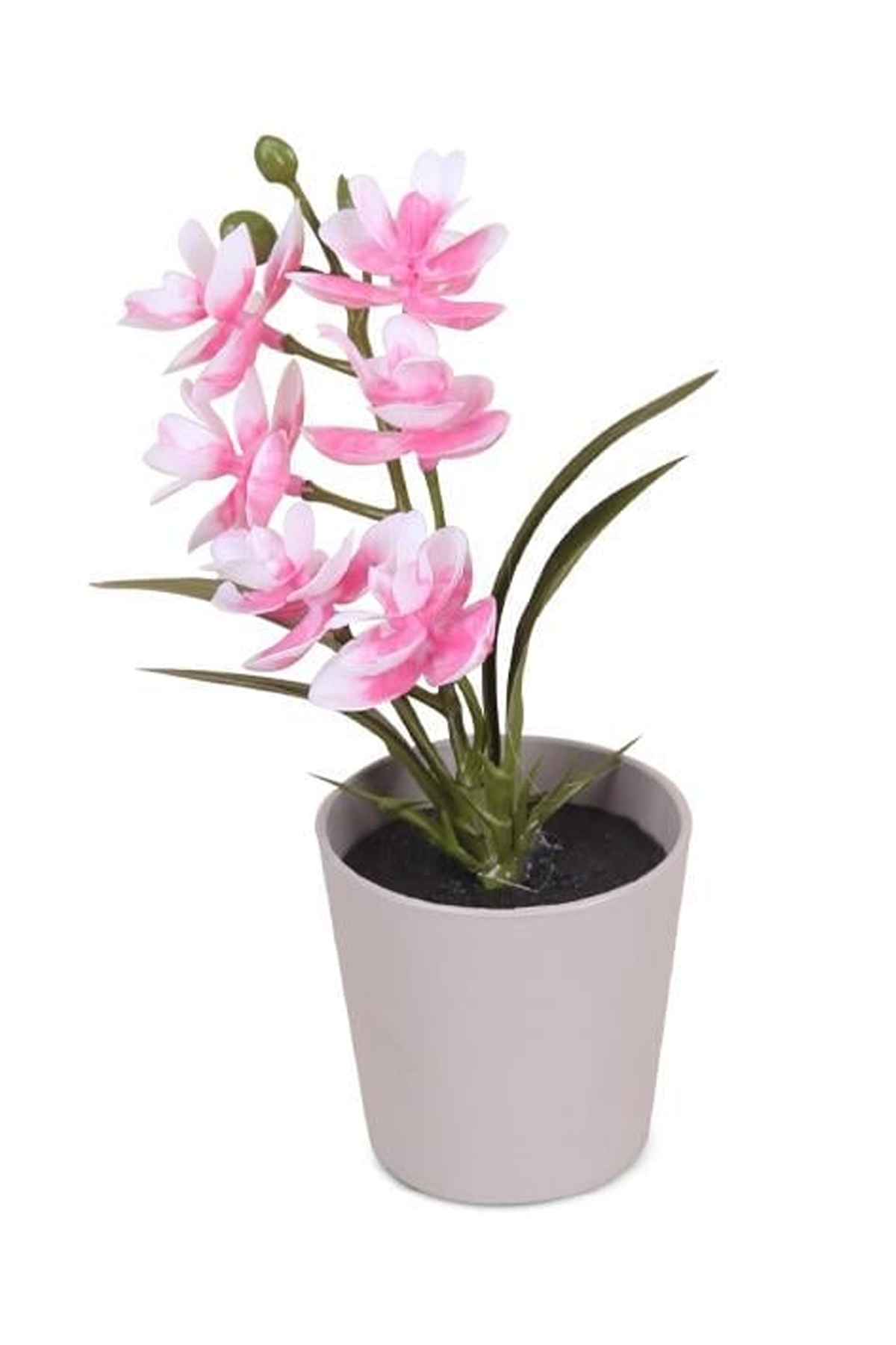 Mini Saksıda Orkide Çiçek Yapay Erc Yapı Market-5679