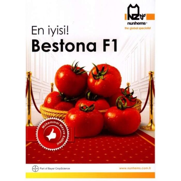 Bestona F1 Doamtes Fidesi