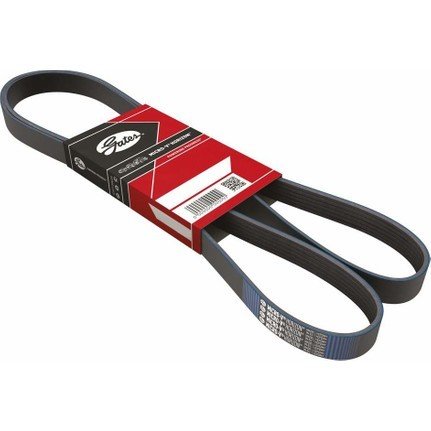 Volkswagen Golf 7 V Kayışı / Alternatör Kayışı 1.6 TDI 105 Beygir 2013-2020 GATES