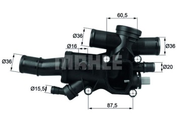 TERMOSTAT GOVDESI KOMPLE (TERMOSTAT HARIC) P307-P407-C4-C5 II DW10BTED4(2,0HDI 16V)