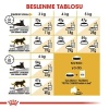Royal Canin Persian İran Kedilerine Özel Mama 2 Kg