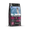 PRO PERFORMANCE PUPPY MEDİUM&LARGE LAMB-RİCE BLUBRRY 12 KG