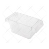 Atlantik İkili Kristal Balık Yavruluk 14,5 Cm x 10 Cm