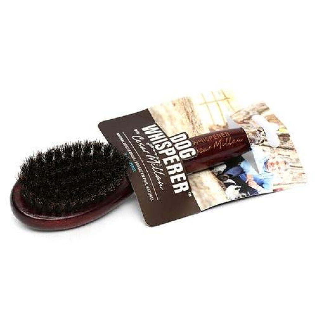 Dog Whisperer Dog Wh sperer Br9304 Tek Tarafl Kucuk F rca Bursa Yunusparkpetshop