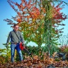 Einhell GE-LB 36/210 Li E-Solo, Kömürsüz Akülü Yaprak Üfleme
